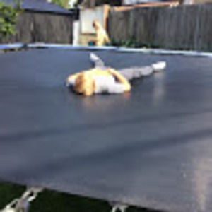 Meet your Posher, Trevor